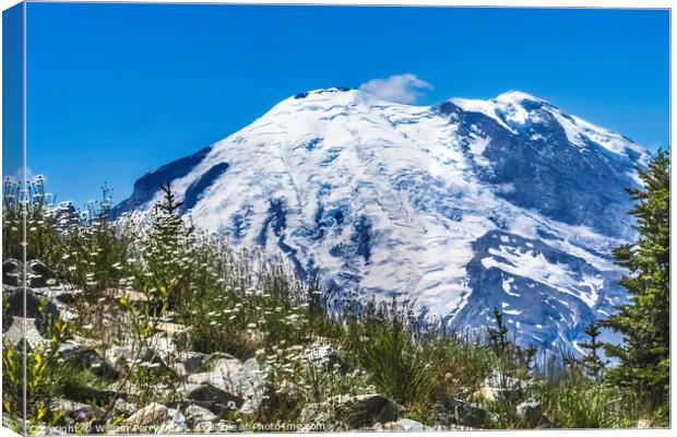 Colorful White Flowers Mount Rainier Crystal Mountain Lookout Wa Canvas Print by William Perry