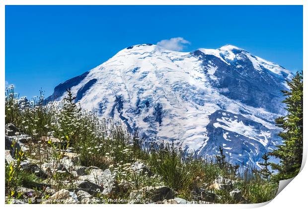 Colorful White Flowers Mount Rainier Crystal Mountain Lookout Wa Print by William Perry