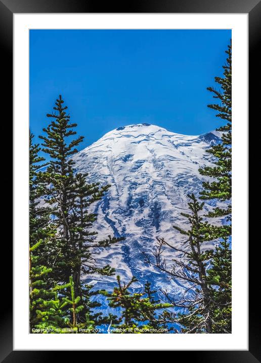 Green Trees Mount Rainier Crystal Mountain Washington Framed Mounted Print by William Perry
