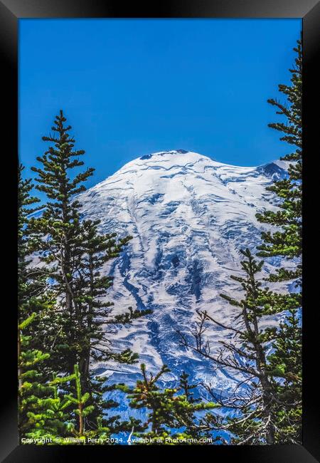 Green Trees Mount Rainier Crystal Mountain Washington Framed Print by William Perry