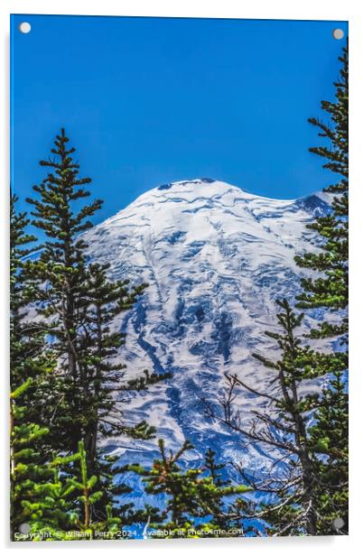 Green Trees Mount Rainier Crystal Mountain Washington Acrylic by William Perry