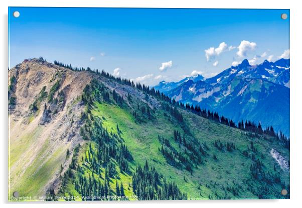 Green Foothills Mt Rainier Crystal Mountain Washington Acrylic by William Perry