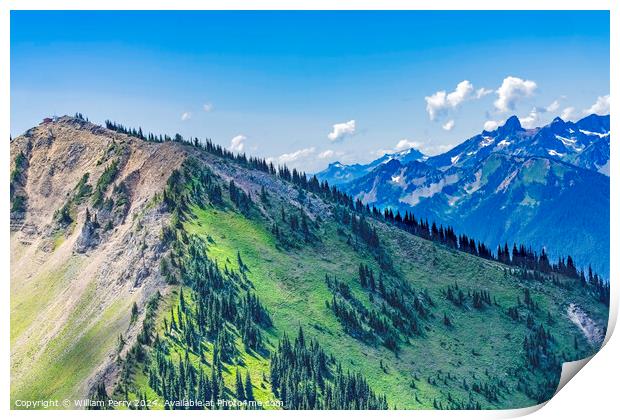 Green Foothills Mt Rainier Crystal Mountain Washington Print by William Perry