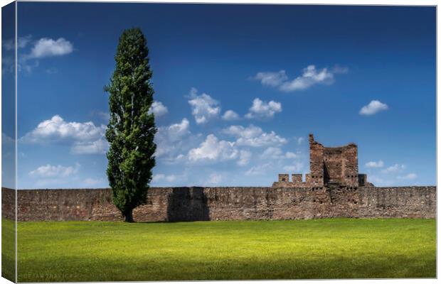 Lonely tree by the fortress walls Canvas Print by Dejan Travica
