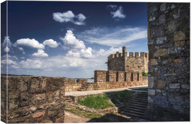 On the walls of the Smederevo medieval fortress Canvas Print by Dejan Travica