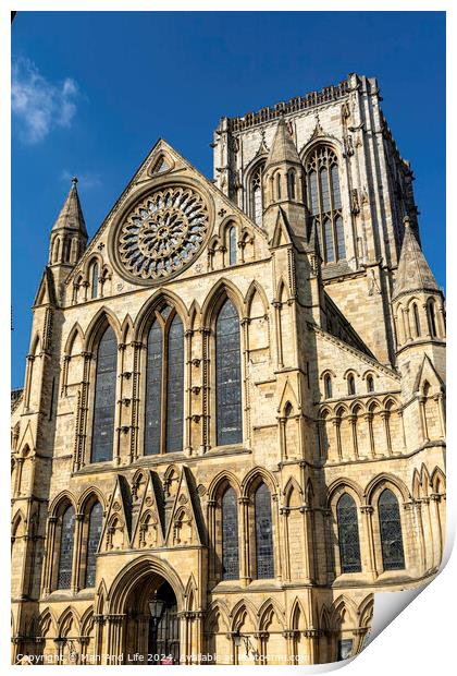 York Minster Print by Man And Life