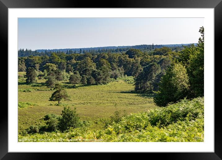 A herd of animals grazing on a lush green field Framed Mounted Print by Man And Life