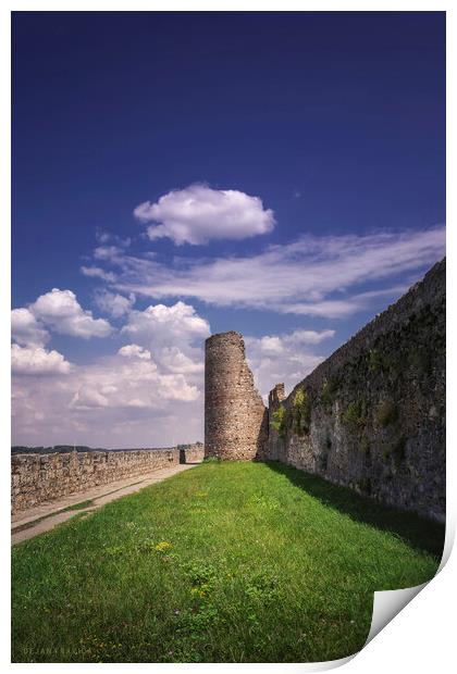 Tower and walls of the Smederevo medieval fortress in Serbia Print by Dejan Travica
