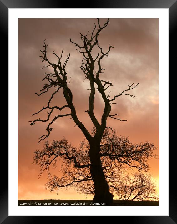 A large tree Framed Mounted Print by Simon Johnson