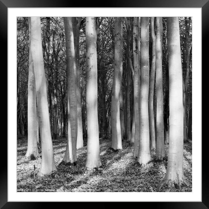 Sunlit woodland in monochrome  Framed Mounted Print by Simon Johnson