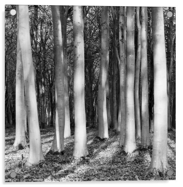Sunlit woodland in monochrome  Acrylic by Simon Johnson