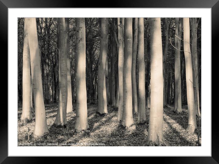 Sunlit woodland in monochrome  Framed Mounted Print by Simon Johnson