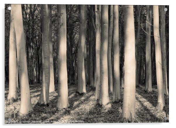 Sunlit woodland in monochrome  Acrylic by Simon Johnson