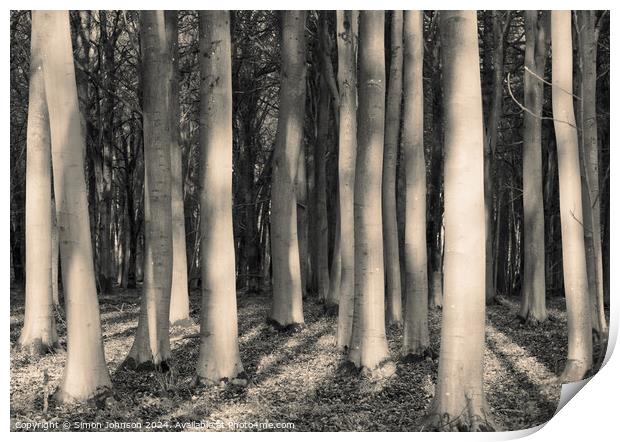Sunlit woodland in monochrome  Print by Simon Johnson