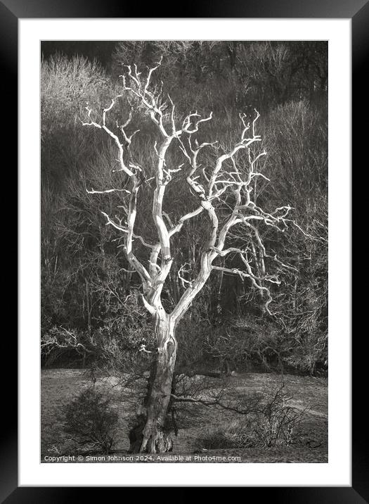 Lightning tree  Framed Mounted Print by Simon Johnson