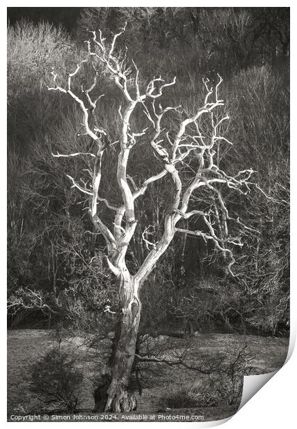 Lightning tree  Print by Simon Johnson