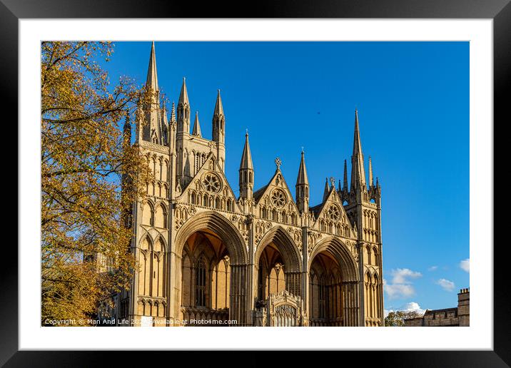 Peterborough Cathedral Framed Mounted Print by Man And Life