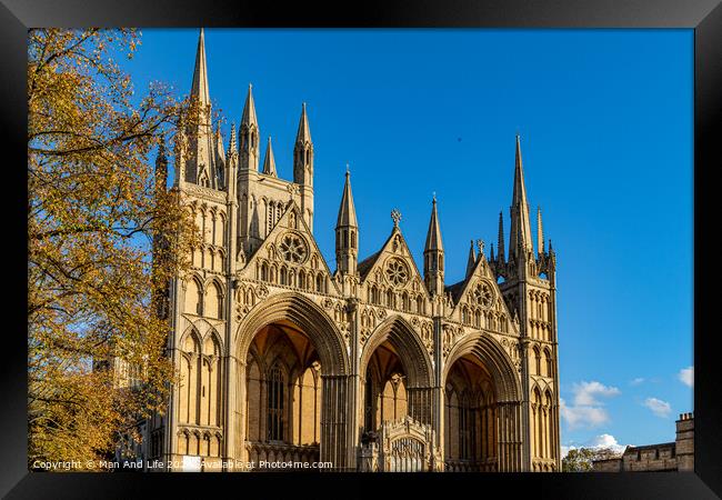Peterborough Cathedral Framed Print by Man And Life