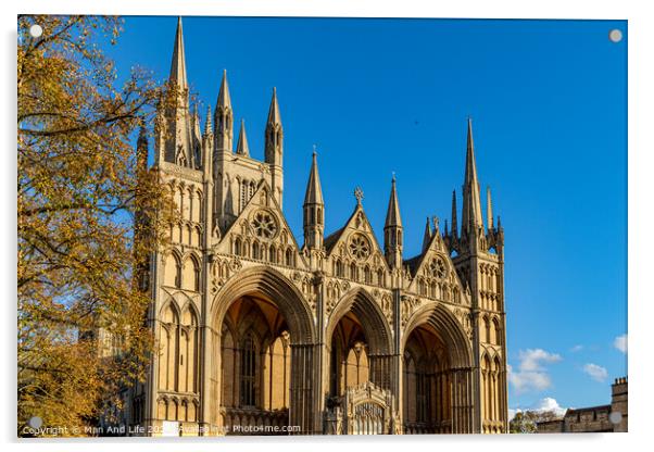 Peterborough Cathedral Acrylic by Man And Life