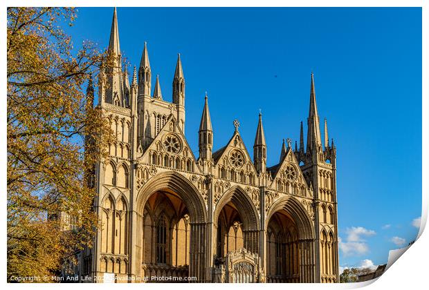 Peterborough Cathedral Print by Man And Life