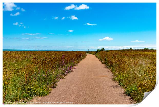 Outdoor road Print by Man And Life