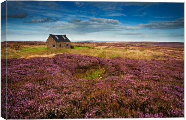 Trough House, North York Moors Canvas Print by Martin Williams