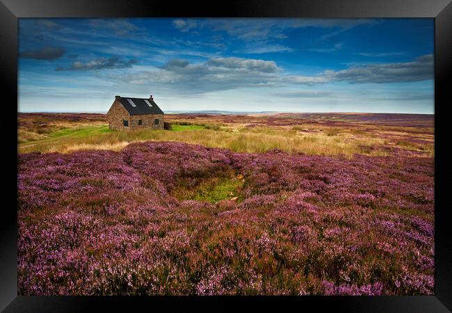 Trough House, North York Moors Framed Print by Martin Williams