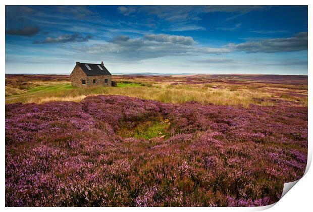 Trough House, North York Moors Print by Martin Williams