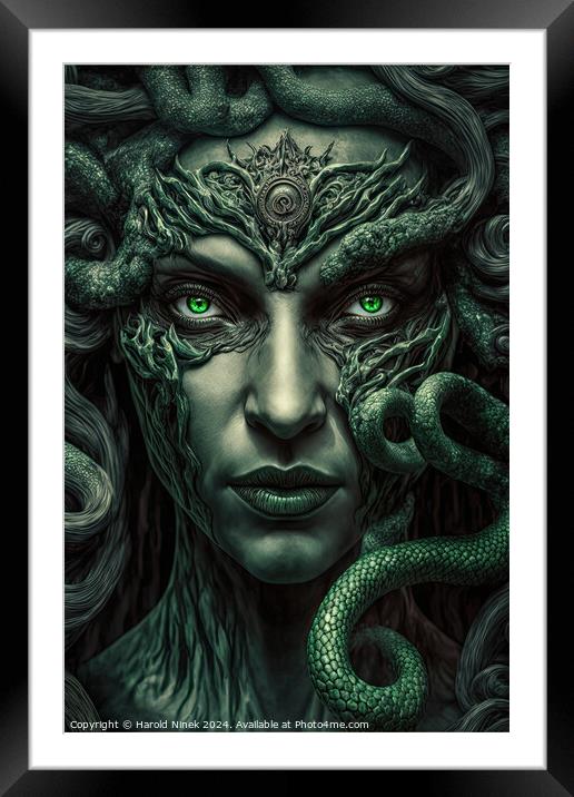 Medusa Framed Mounted Print by Harold Ninek