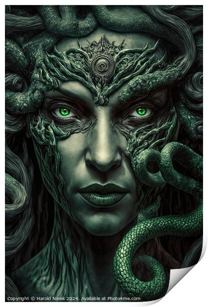 Medusa Print by Harold Ninek