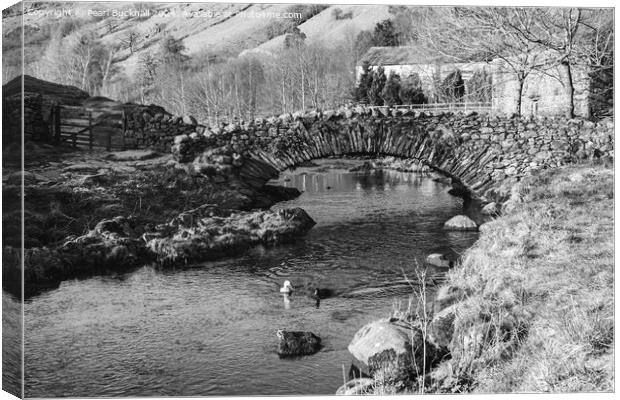 Watendlath Bridge Lake District Black and white Canvas Print by Pearl Bucknall