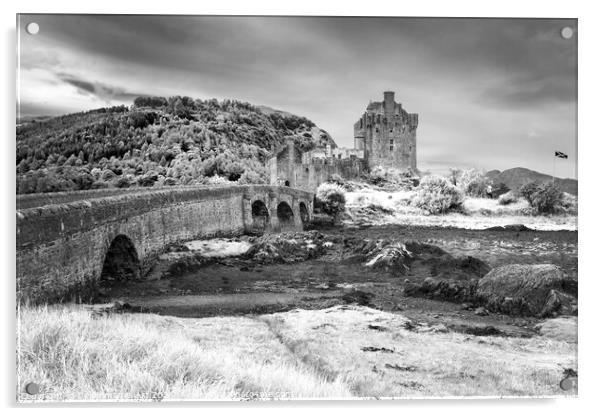 Eilean Donan castle, Highlands, Scotland Acrylic by Delphimages Art