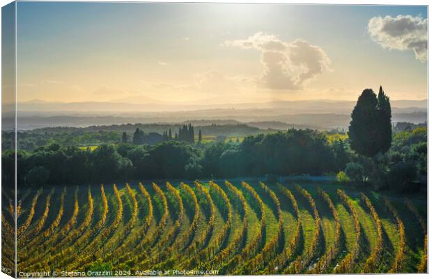 Chianti vineyards panorama at sunset. San Gusmé, Tuscany region, Italy Canvas Print by Stefano Orazzini