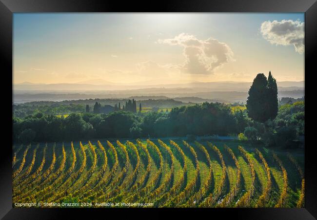 Chianti vineyards panorama at sunset. San Gusmé, Tuscany region, Italy Framed Print by Stefano Orazzini