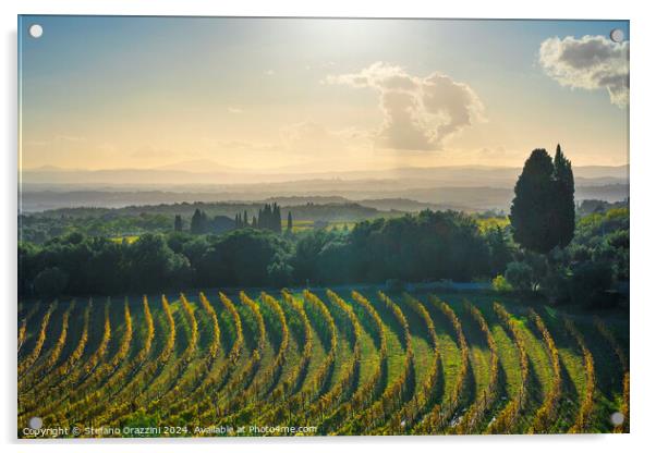 Chianti vineyards panorama at sunset. San Gusmé, Tuscany region, Italy Acrylic by Stefano Orazzini