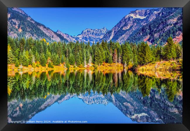 Gold Lake Reflection Mt Chikamin Peak Snoqualme Pass Washington Framed Print by William Perry