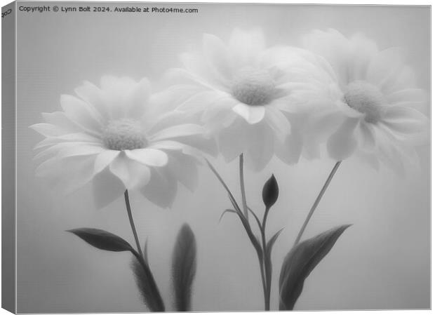Three Flowers in Black and White Canvas Print by Lynn Bolt