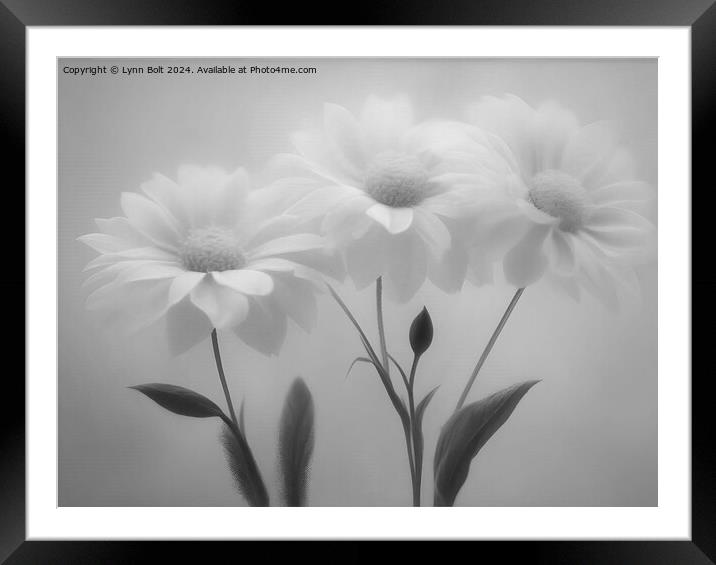 Three Flowers in Black and White Framed Mounted Print by Lynn Bolt