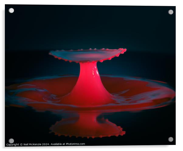 Splash of red Acrylic by Neil McKenzie