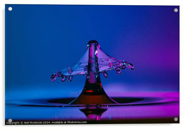 Waterdrop umbrella  Acrylic by Neil McKenzie