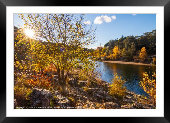 Landscape of trees in autumn against the light. Photography take Framed Mounted Print by Laurent Renault