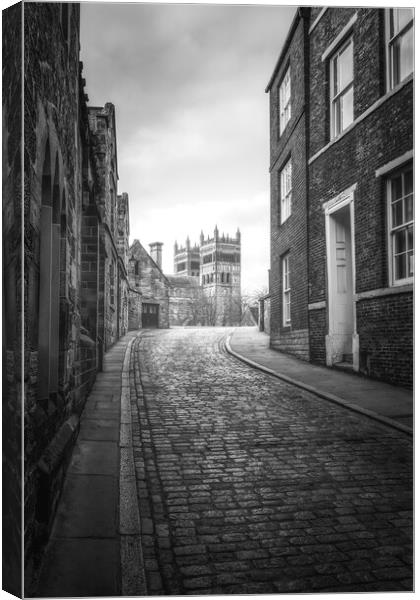 Durham Cathedral from Owengate Canvas Print by Tim Hill