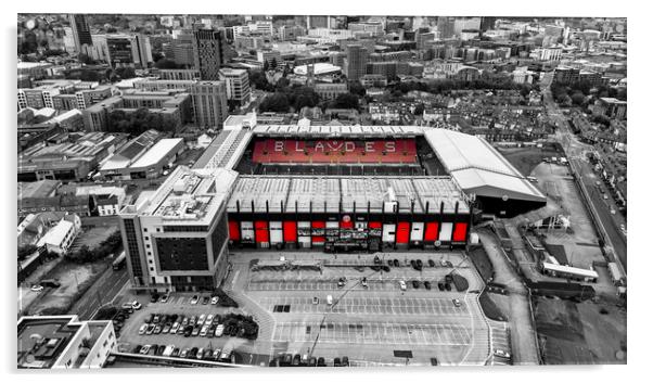 Sheffield United Football Club Acrylic by Steve Smith