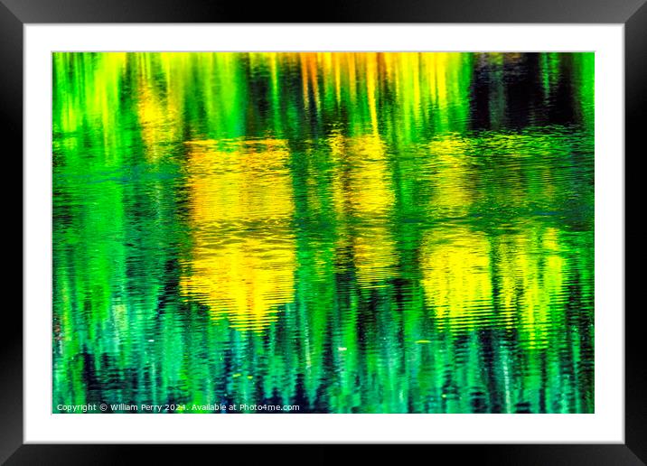 Green Yellow Autumn Reflection Abstract Gold Lake Washington Framed Mounted Print by William Perry