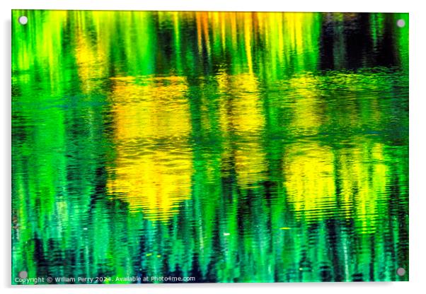Green Yellow Autumn Reflection Abstract Gold Lake Washington Acrylic by William Perry