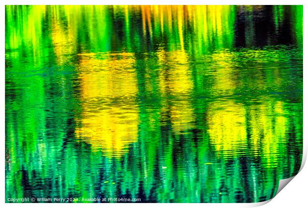 Green Yellow Autumn Reflection Abstract Gold Lake Washington Print by William Perry