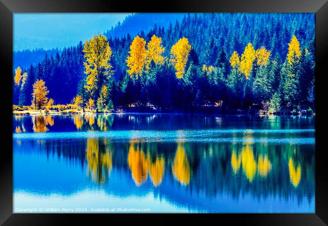 Blue Water Yellow Trees Gold Lake Autumn Washington Framed Print by William Perry
