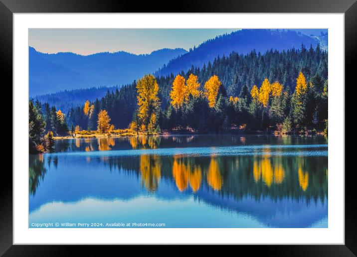 Trees Gold Lake Autumn Snoqualme Pass Washington Framed Mounted Print by William Perry