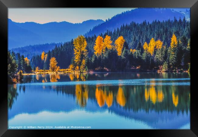 Trees Gold Lake Autumn Snoqualme Pass Washington Framed Print by William Perry