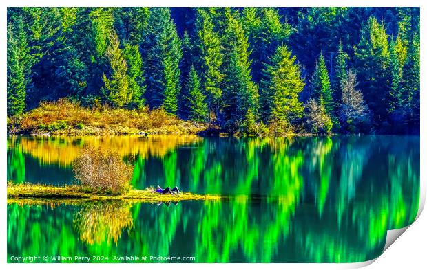 Green Yellow Autumn Reflection Colors Gold Lake Washington Print by William Perry